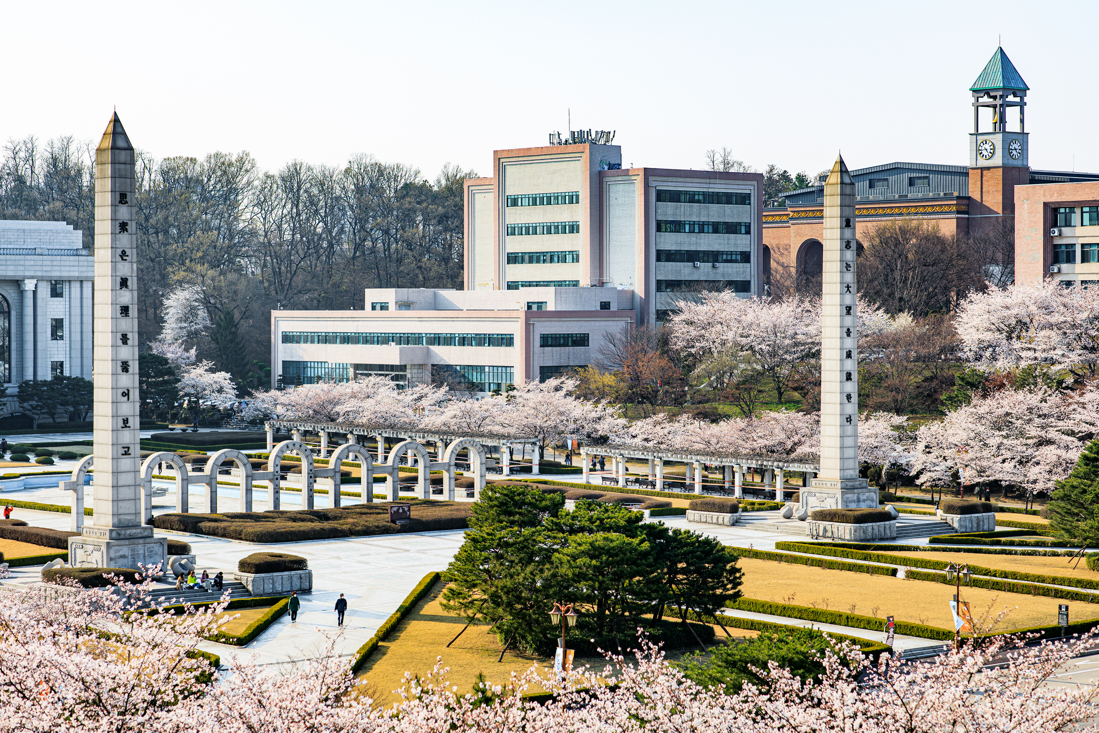 A park on a university campus surrounded by cherry trees in full bloom and academic buildings. Two obelisks from the left and right side of the park frame a very angular building in the middle.